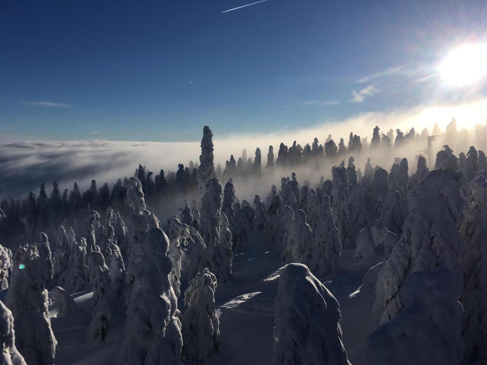 Apartmán Švícárek Loučná pod Klínovcem Esterno foto